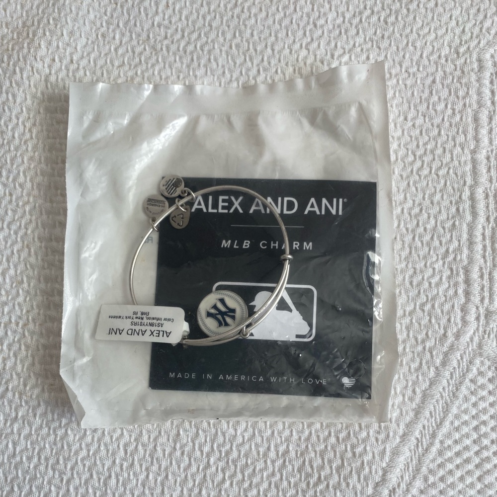NWT Alex and Ani Charm Bracelet